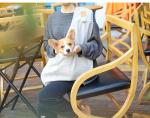 Hug Style Breathable Cross Body Pet Carrier 63*53*78cm Pet Supplies Accessories