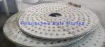 Sodium Benzene Sulfinate Continuous Dryer Industrial PLG Series