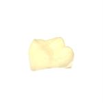 Temporary Restorations Photosensitive Resin High Strength Photo Sensitive Resin