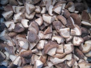 Quality IQF Frozen Shiitake Mushroom Quarter(1/4) wholesale