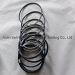 Sinotruk HOWO Parts Truck Spare Parts Vg1560030040 Piston Ring for Transmission