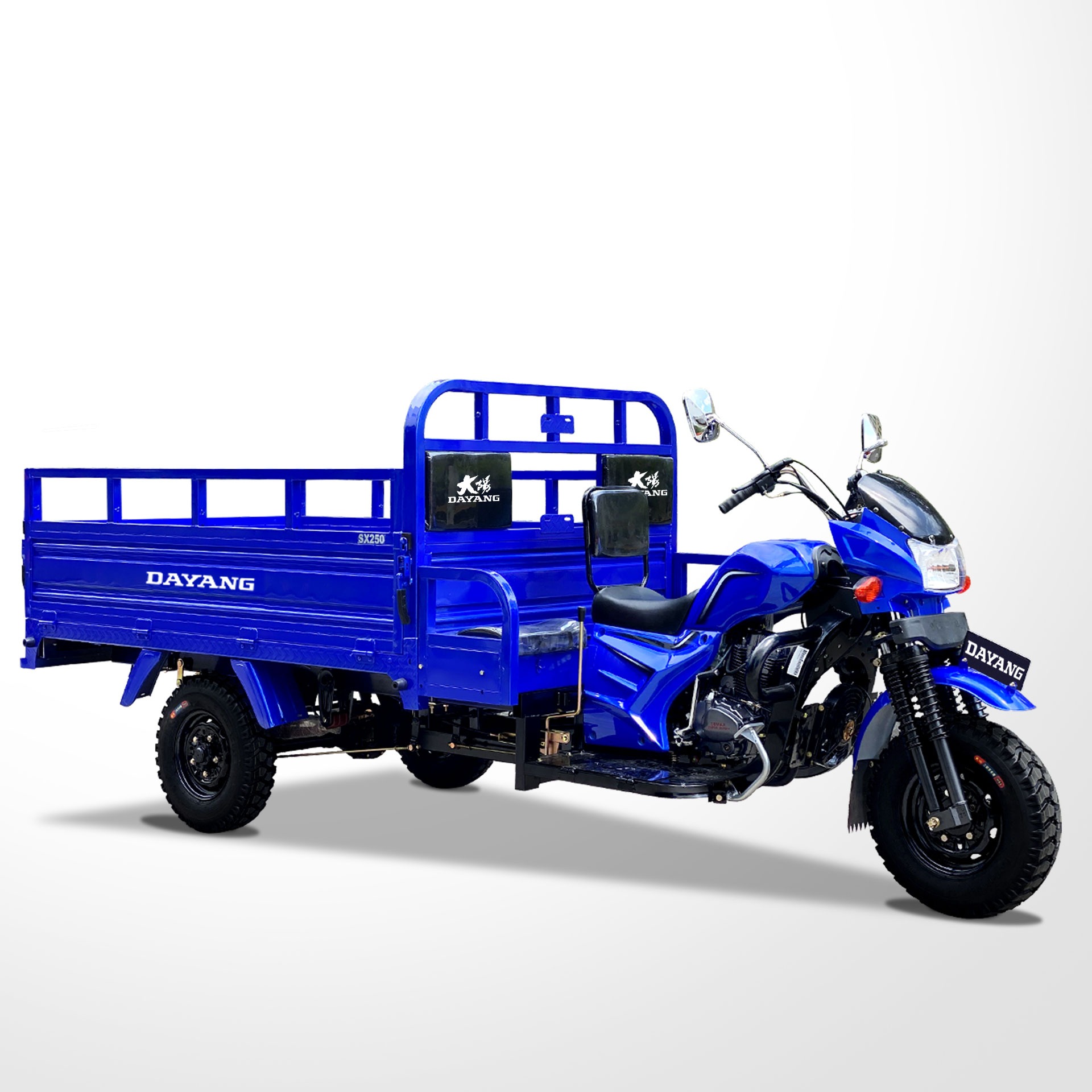 Open Body Type DAYANG Powerful Motor Tricycle for Cargo 200cc 250cc Gasoline Pedicab