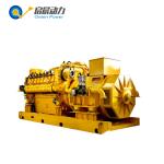 50/60Hz Open Type Methane Generator Biogas Generator 800kw