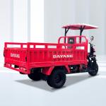 Unleash the Power of DAYANG DY-H8 250cc/300cc/350cc Tricycle in Africa with 12V