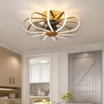 Modern Led Ceiling Fan Light Nordic Bedroom Kitchen Living Room Restaurant