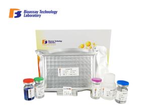 Quality Antibody Human Insulin Elisa Kit Cat No E3473hu 2 Hours Assay Length wholesale