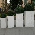 Powder Coated Finishing Fiber Clay Planters For Gardening Needs