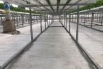 Customized Hydroponic NFT Pipe Greenhouse Flat PVC Tube Hydroponic Systems