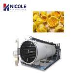 Food Fruit And Vegetable Vacuum Pump Freeze Dryer Lyophilizer Customised