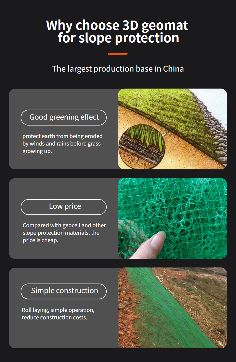 Modern Design HDPE Erosion Control Mat for Slope Protection in River and Mountain Projects