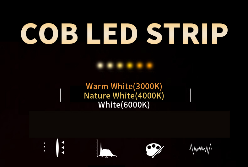 Commercial Dream Color Smart Addressable RGB COB LED Strips with Dimmable Design