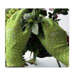 Urban Park Service And Afforestation Green Polyester Nitrile Gloves