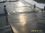 0.1-3.0 Thickness HDPE Geocomposite Waterproof Membrane with Nonwoven Geotextile