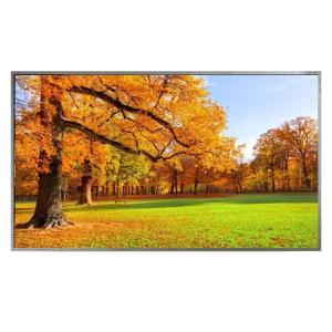 Quality AUO 27 Inch LCD Screen 12V Laptop Display Panel Active Area 596.16x335.34mm wholesale