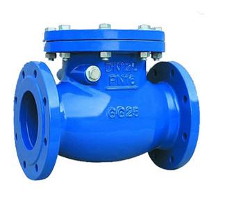 Cheap Multi Single Disc Door Flanged PN10 Stainless Swing Check Valve for sale