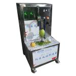 Commercial Small Easy Operation Fruit Peeler Lemon Orange Peeling Machine