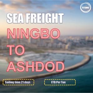 Quality COSCO Liner Export Ocean Cargo Logistics From Ningbo To Ashdod Israel Direct Sailing wholesale