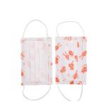 Cute Children Face Mask , Earloops Disposable Anti Dust Mouth Mask For Kid