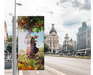Quality Outdoor Fixed Installation Smart Digital Video Advertising Screen Led Poster Display wholesale
