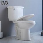 Porcelain Washdown Two Piece Toilet Bathroom Integrated Siphon Water Closet