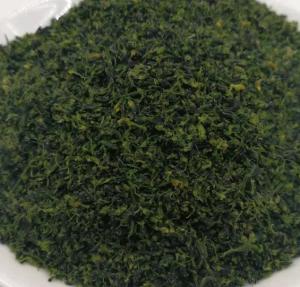 Quality Natural AD Dried Broccoli Beads Green Bell Pepper Dry Cool Place Storage wholesale