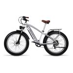48V 17.5AH LG Battery Retro Electric Bike With Front Suspension 1000W Motor