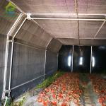 Fully Light Deprivation Greenhouse with Blackout Film and Customized Hot