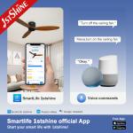 Commercial European Style Electric Ceiling Fan with Remote Control 1stshine Boom