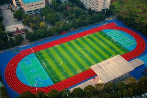 Quality Soccer Artificial Grasses Sports Landscape Indoor Grass For Pets wholesale