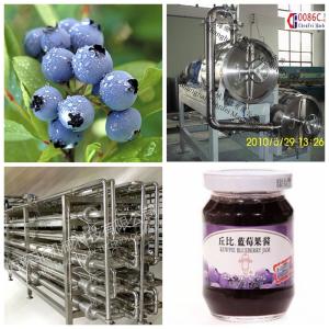 Quality Blueberry Beverage Production Equipment SS304 Material Easy Operation wholesale