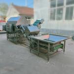 Onion Peeler Machine Small to Big Onions Skin Peeling Machinery 4970*1510*1813