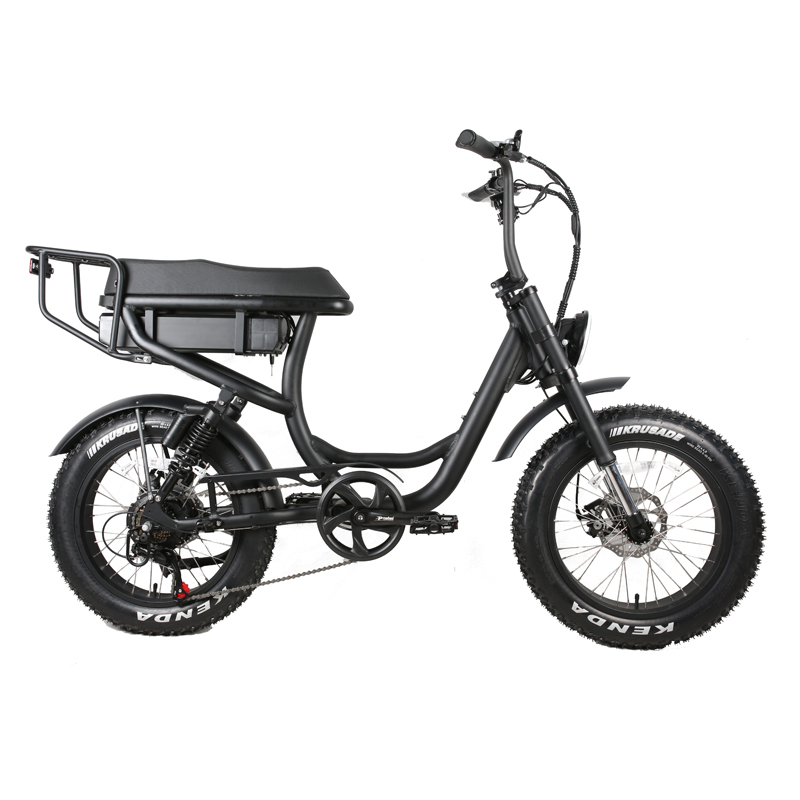 Aluminum Alloy 6061 Frame 2 Seat 500W 750W Off-road Step Through 20 inch Fat Tire Electric Bike Beach Bikes Cruisers