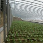 Package Gross Weight 2000.000kg Lightweight Sunlight Greenhouse for Growing