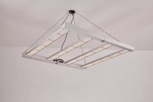 Quality Foldable 4T Led Grow Light 600W 800W For Commercial wholesale