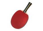 Poplar 2 Star Table Tennis Bats Long Handle 7 Ply Reverse Rubber For Family