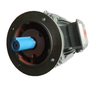 Quality 300HP IE3 Steel High Efficiency Electric Motor 3000R/Min wholesale