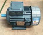 ABB Motor M2QA IP55 Waterproof 3 Phase Electric Motors With Low Voltage Motor