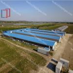 Modern Lightweight Metal Frame Building Poultry Farm Structure