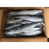 Buy cheap Bulk 700g 1000g Whole Round Frozen Spanish Mackerel from wholesalers