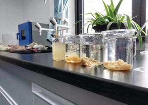 Quality Cationic Polymer Sludge Conditioner Mining Industry Chemical Sedimentation Additive wholesale
