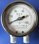 Double-strength Glass Window Stainless Steel Differential Pressure Gauge for