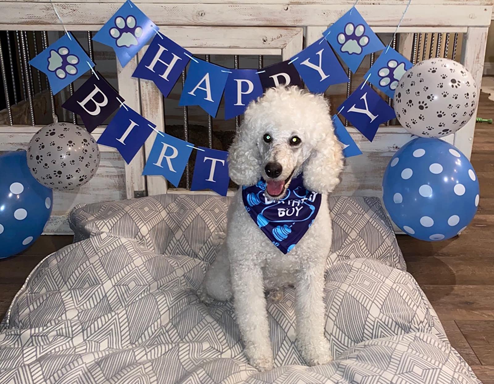 Pet Party Decoration Set Dog Bandana Hat Tie Balloons Supplies Happy Cake Topper Cloth