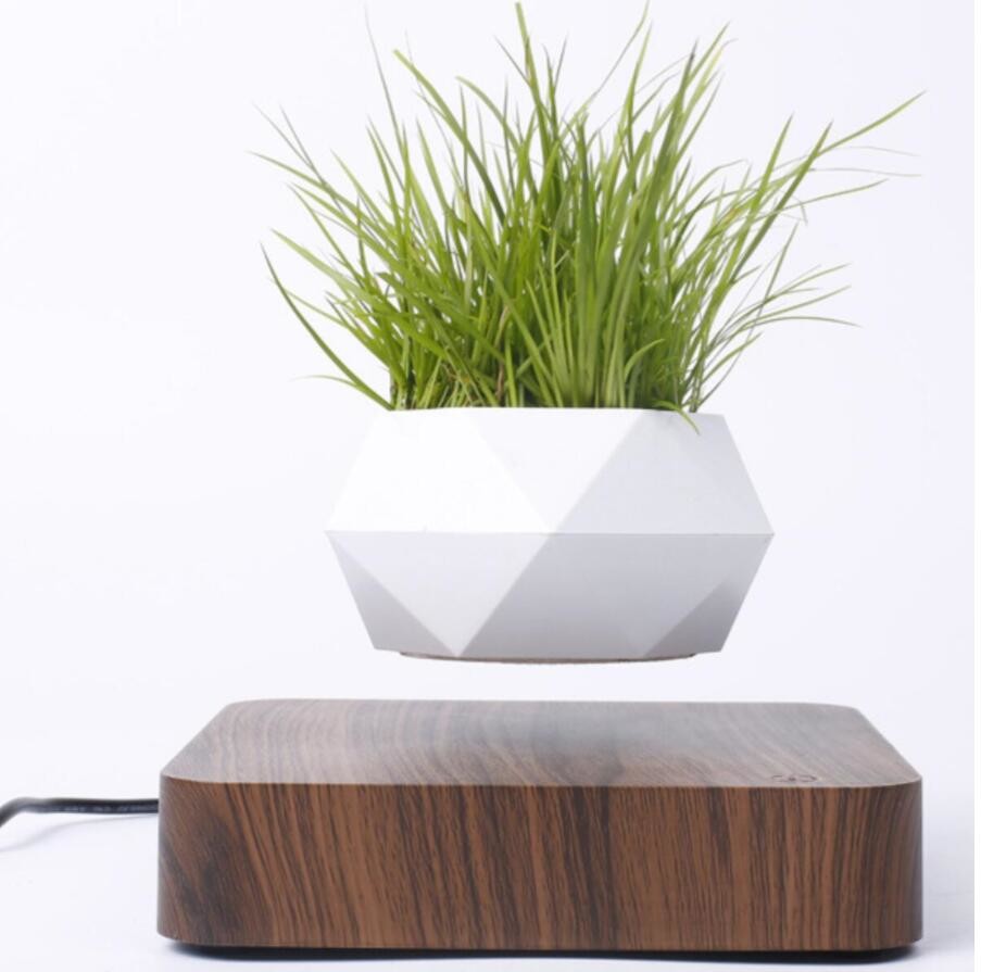 Factory sale magnetic levitation plant tree air bonsai plant PA-0734