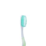 Effective 60-Day Oral Care Toothbrushes Deep Bacteria Removal Gentle Cleaning