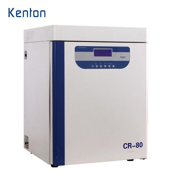 Tissue Culture CO2 Incubator 110V 220V Carbon Dioxide Incubator CE For Medical