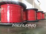10000Psi Encapsulated Control Line Duplex 2507 FEP