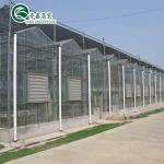 Customized Glass-Covered Vegetable Greenhouse for Restaurant Growth