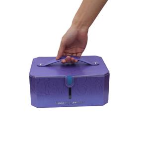 Quality Waterproof 5 Minutes 6 Pcs UV LED Sterilizer Bag wholesale