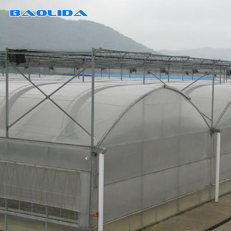 Hot Galvanized Structure Agriculture Polytunnel Greenhouse Wind Resistant Multi-Span Greenhouse