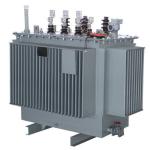 Oil immersed transformer